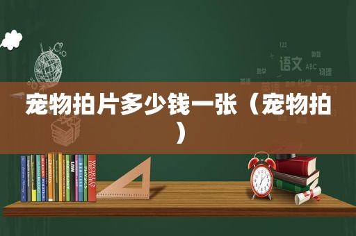 宠物拍片多少钱一张（宠物拍）