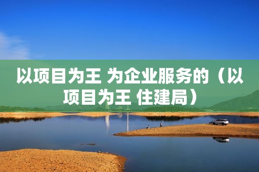 以项目为王 为企业服务的（以项目为王 住建局）