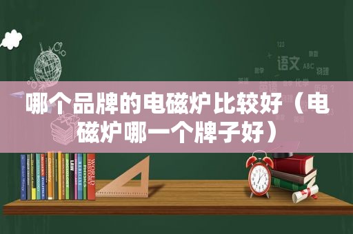 哪个品牌的电磁炉比较好（电磁炉哪一个牌子好）
