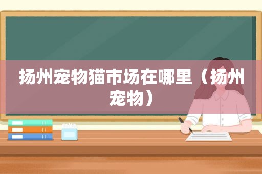 扬州宠物猫市场在哪里（扬州宠物）