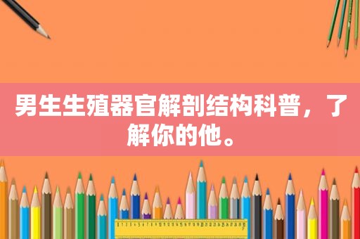 男生生殖器官解剖结构科普，了解你的他。