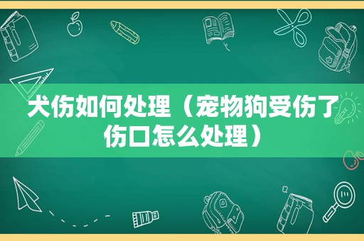 犬伤如何处理（宠物狗受伤了伤口怎么处理）