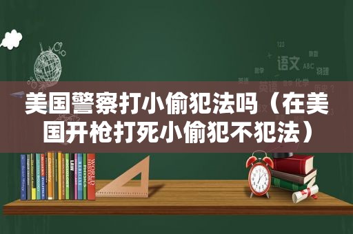 美国警察打小偷犯法吗（在美国开枪打死小偷犯不犯法）