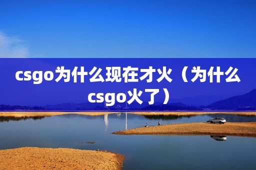 csgo为什么现在才火（为什么csgo火了）