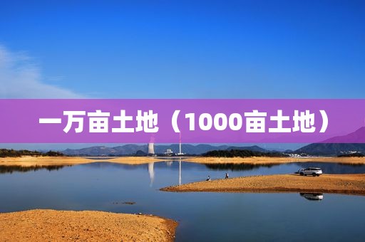 一万亩土地（1000亩土地）