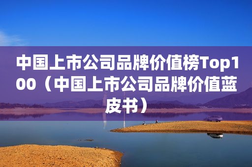 中国上市公司品牌价值榜Top100（中国上市公司品牌价值蓝皮书）