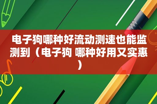 电子狗哪种好流动测速也能监测到（电子狗 哪种好用又实惠）  第1张