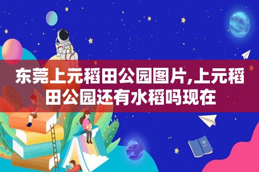 东莞上元稻田公园图片,上元稻田公园还有水稻吗现在