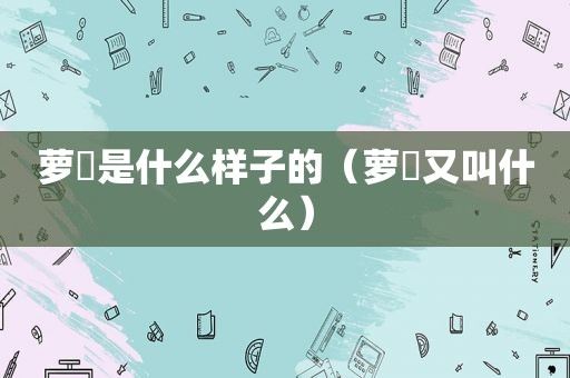 萝雐是什么样子的（萝藦又叫什么）