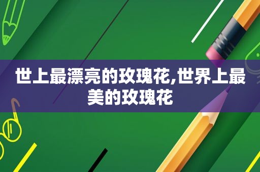 世上最漂亮的玫瑰花,世界上最美的玫瑰花