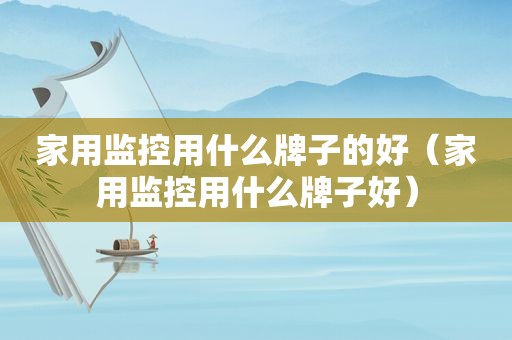 家用监控用什么牌子的好（家用监控用什么牌子好）