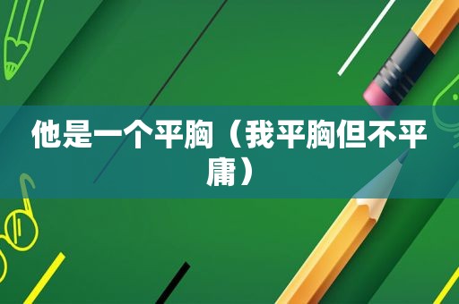 他是一个平胸（我平胸但不平庸）