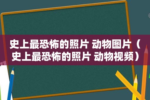 史上最恐怖的照片 动物图片（史上最恐怖的照片 动物视频）