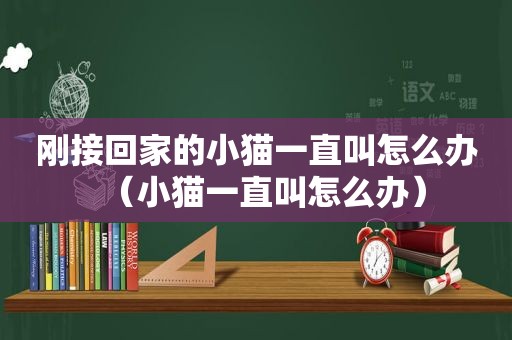 刚接回家的小猫一直叫怎么办（小猫一直叫怎么办）