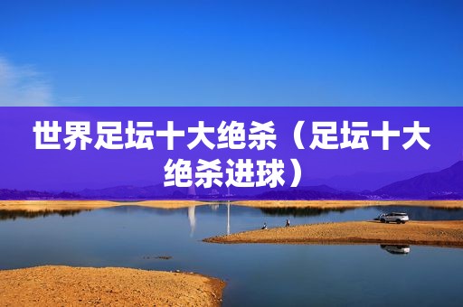 世界足坛十大绝杀（足坛十大绝杀进球）