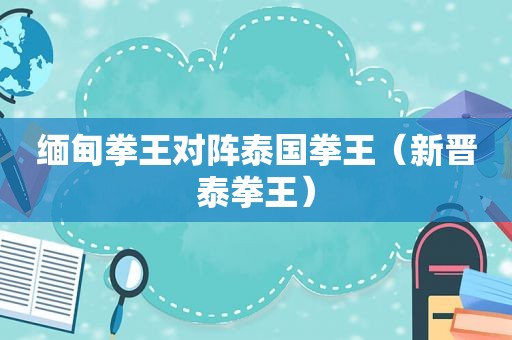  *** 拳王对阵泰国拳王（新晋泰拳王）