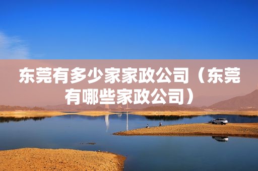 东莞有多少家家政公司（东莞有哪些家政公司）
