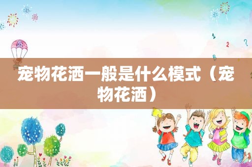 宠物花洒一般是什么模式（宠物花洒）