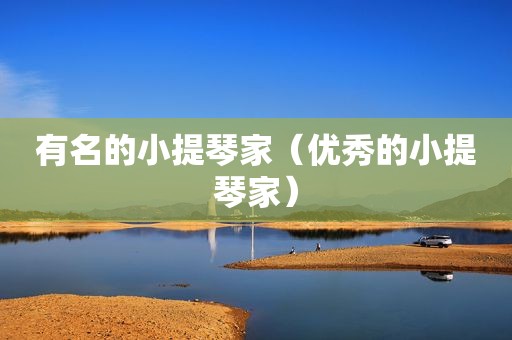 有名的小提琴家（优秀的小提琴家）