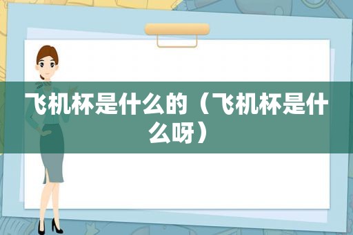 飞机杯是什么的（飞机杯是什么呀）