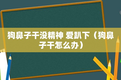 狗鼻子干没精神 爱趴下（狗鼻子干怎么办）