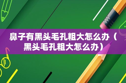 鼻子有黑头毛孔粗大怎么办（黑头毛孔粗大怎么办）