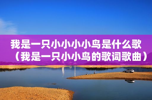 我是一只小小小小鸟是什么歌（我是一只小小鸟的歌词歌曲）
