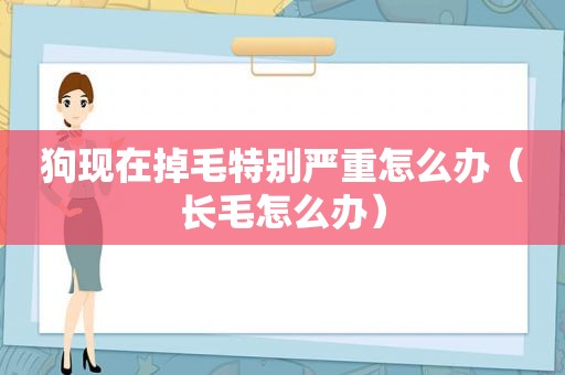 狗现在掉毛特别严重怎么办（长毛怎么办）