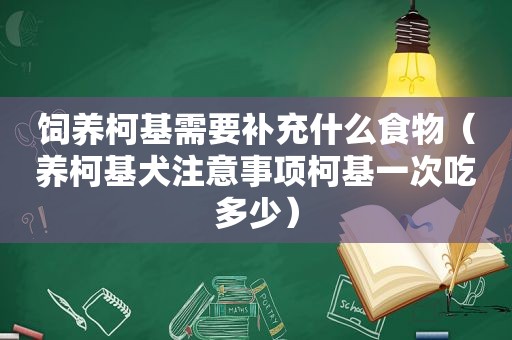 饲养柯基需要补充什么食物（养柯基犬注意事项柯基一次吃多少）