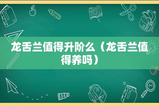 龙舌兰值得升阶么（龙舌兰值得养吗）