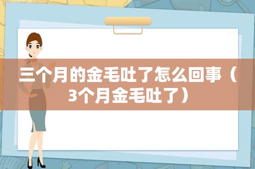 三个月的金毛吐了怎么回事（3个月金毛吐了）