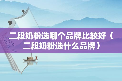 二段奶粉选哪个品牌比较好（二段奶粉选什么品牌）