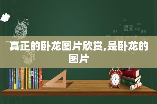 真正的卧龙图片欣赏,是卧龙的图片