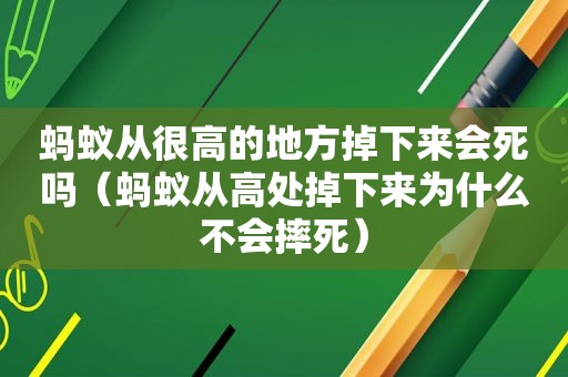 蚂蚁从很高的地方掉下来会死吗（蚂蚁从高处掉下来为什么不会摔死）