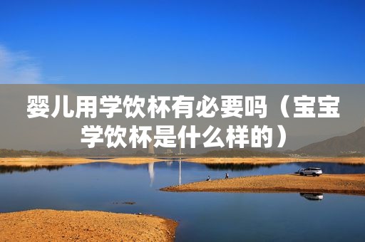 婴儿用学饮杯有必要吗（宝宝学饮杯是什么样的）