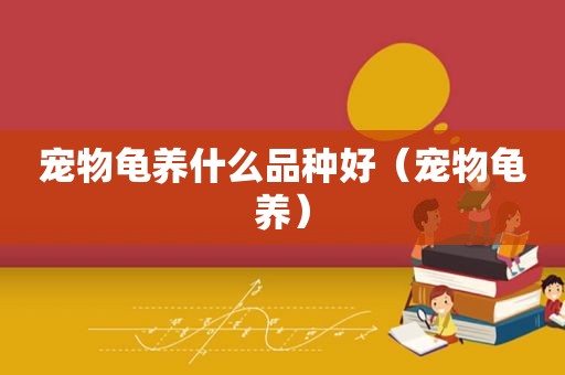 宠物龟养什么品种好（宠物龟养）