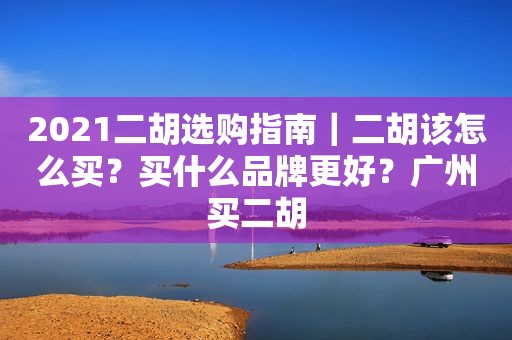 2021二胡选购指南｜二胡该怎么买？买什么品牌更好？广州买二胡