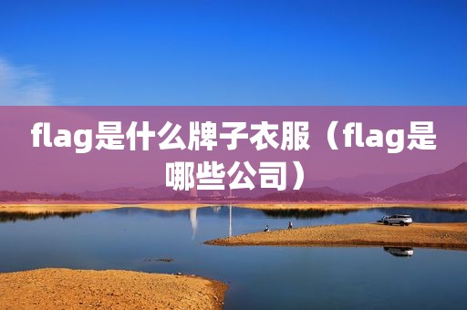 flag是什么牌子衣服（flag是哪些公司）