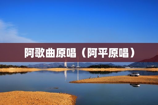 阿歌曲原唱（阿平原唱）