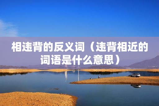 相违背的反义词（违背相近的词语是什么意思）
