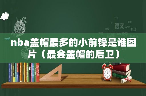 nba盖帽最多的小前锋是谁图片（最会盖帽的后卫）