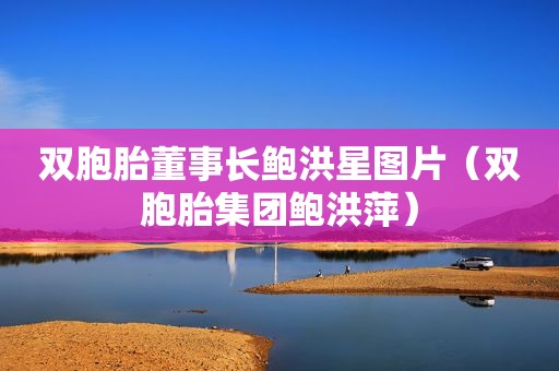 双胞胎董事长鲍洪星图片（双胞胎集团鲍洪萍）