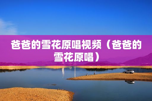爸爸的雪花原唱视频（爸爸的雪花原唱）  第1张