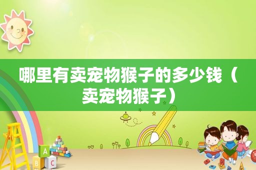 哪里有卖宠物猴子的多少钱（卖宠物猴子）