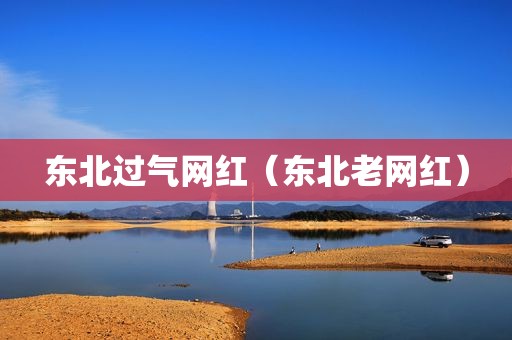 东北过气网红（东北老网红）