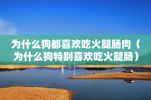为什么狗都喜欢吃火腿肠肉（为什么狗特别喜欢吃火腿肠）
