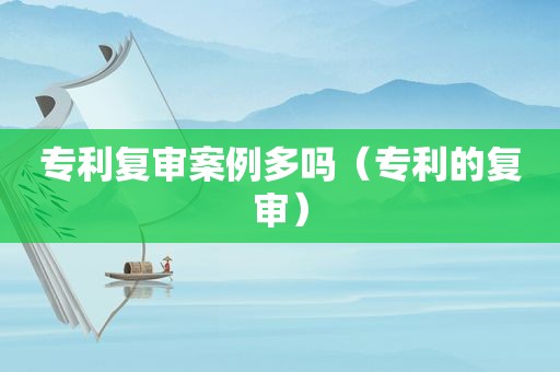 专利复审案例多吗（专利的复审）