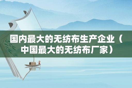 国内最大的无纺布生产企业（中国最大的无纺布厂家）