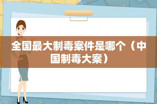 全国最大制毒案件是哪个（中国制毒大案）