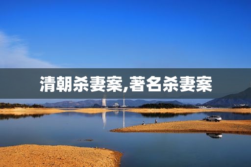 清朝杀妻案,著名杀妻案  第1张